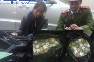 Hà Nội: Bắt khẩn cấp kẻ vận chuyển gần 800 quả pháo khủng