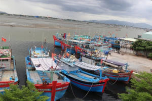Tạm dừng tàu cá ra khơi ở Bà Rịa - Vũng Tàu từ ngày 26/8