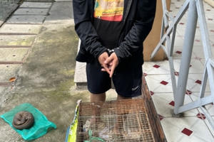 Khởi tố thanh niên mua bán động vật quý hiếm