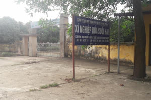 Người dân Nông trường dứa Suối Hai viết tâm thư gửi Chủ tịch Nguyễn Đức Chung