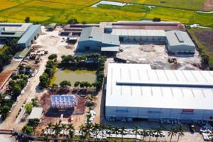 Xử phạt 116 triệu đồng đối với công ty có 14 công nhân mắc bệnh liên quan đến Phổi