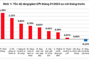 CPI tháng 01/2023 tăng 0,52%
