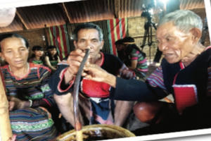 Năm mới “đốt bò” mừng thọ của người M’Nông