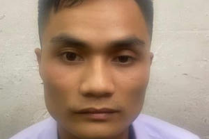 Bắt đạo chích có biệt danh “Mèo đen"