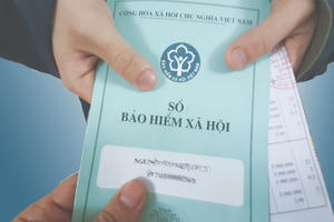 Vừa làm công ty mới vừa nhận BHXH một lần được không?