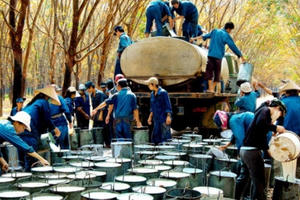 Doanh nghiệp không phá sản nhờ khoanh nợ kịp thời