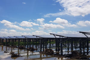 UBND tỉnh Long An có nhiều vi phạm trong quản lý, sử dụng đất xây dựng nhà máy điện mặt trời