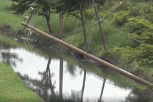 TP HCM: Trụ diện trung thế ngả nghiêng dọc kênh Chiến Lược