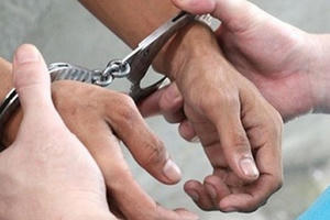 Lâm Đồng: Khởi tố đối tượng bảo kê  thu mua sầu riêng