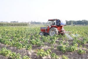 Hà Nội đẩy nhanh tiến độ cấp gần 5.000 giấy chứng nhận sử dụng đất nông nghiệp