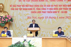 Các tập đoàn, tổng công ty dư địa phát triển còn rất lớn