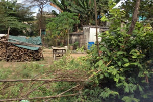 Kỳ 2 – Vụ TAND thị xã Dĩ An “trái lệnh” TAND Tối cao: Ai sẽ chịu trách nhiệm đền bù thiệt hại?