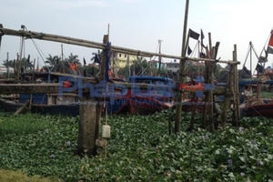 Thái Bình: Họp bàn giải quyết tình trạng 'nhảy dù' lấn chiếm bãi triều trái phép