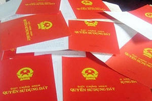 Làm gì khi sổ đỏ, bằng lái xe bị kẻ gian lấy mất?