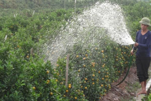 Làng nghề hối hả vào vụ tết