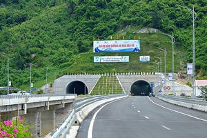 Phá rừng đặc dụng làm hầm Đèo Cả: Lộ nhiều sai phạm!