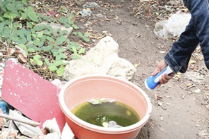 Năm 2024 Đồng Nai ghi nhận hơn 7.000 ca sốt xuất huyết, nhiều bệnh nhân sốc nặng