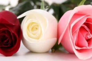 Tháng "cô hồn" hay tháng Bảy mùa Vu lan?