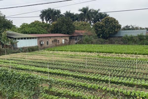 Hà Nội: Giải tỏa đất thầu ở xã Tráng Việt, người dân mong chờ một quyết định thấu tình đạt lý