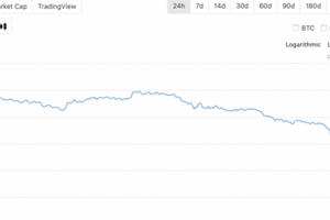 20 phút sinh tử, nhà đầu tư 'nhuốm máu' trên sàn tiền ảo