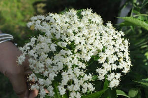 Chồng tôi thương vợ hàng xóm…