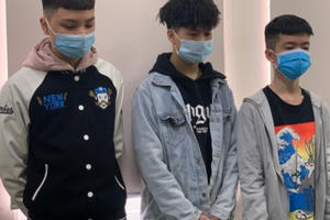 Hà Nội: Triệu tập 3 thiếu niên nghi sàm sỡ phụ nữ nước ngoài ở hồ Tây