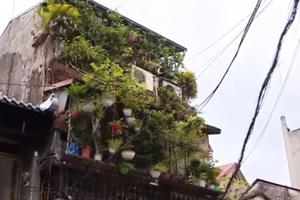 Những ngôi nhà 'chờ sập' tại Hà Nội Những ngôi nhà 'chờ sập' tại Hà Nội