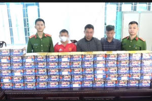 Vận chuyển pháo cùng 3 cá thể khỉ đông lạnh trên ô tô, 2 đối tượng bị bắt giữ