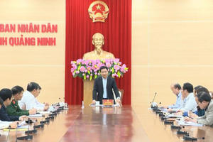 Quảng Ninh: Cương quyết xử lý các cá nhân, tập thể để xảy ra tình trạng khai thác, vận chuyển than trái phép Quảng Ninh: Cương quyết xử lý các cá nhân, tập thể để xảy ra tình trạng khai thác, vận chuyển than trái phép