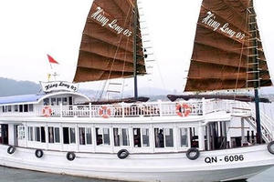 Đình chỉ tàu du lịch có thuyền viên đặt camera quay lén du khách tắm