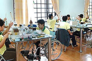 Việt Nam phê chuẩn công ước về việc làm cho người khuyết tật