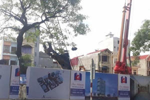 Kỳ 2 - Dự án Hoàng Gia New Melbourne: Vừa khởi công đã bị xử phạt 35 triệu đồng