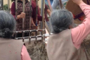 Đi tù vì tranh chấp nhà thờ họ ở Nam Định: Đề nghị giám đốc thẩm