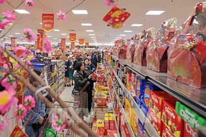 Giải pháp kích cầu tiêu dùng, phát triển thị trường trong nước dịp Tết Nguyên đán 2025