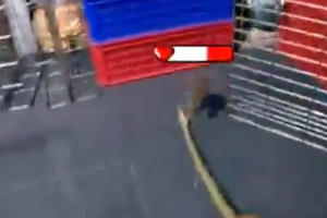 [Clip]: Thanh niên truy sát bầy chuột "nợ dầu phải trả bằng máu"