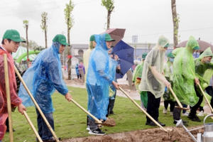 Hải Phòng: Khởi động chương trình trồng một triệu cây xanh