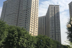 Sự thật rắn độc "bủa vây" toà chung cư mới ở Hà Nội