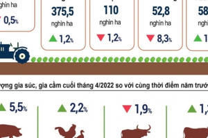 INFOGRAPHIC: Tình hình Kinh tế - Xã hội tháng 4 và 4 tháng đầu năm 2022