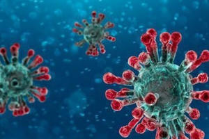 Chính thức đặt tên SARS-CoV-2 cho virus gây bệnh Covid-19