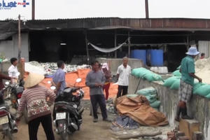 Cơ sở sản xuất muối gây ô nhiễm ở xã Tân Thới Nhì: Đến bao giờ xử lý dứt điểm?