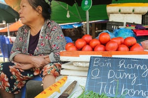 Hà Nội: Phấn đấu 100% các chợ truyền thống không sử dụng túi nilon khó phân hủy Hà Nội: Phấn đấu 100% các chợ truyền thống không sử dụng túi nilon khó phân hủy