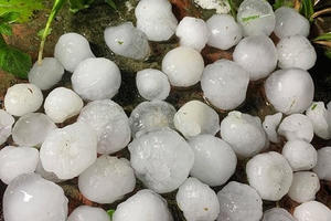 Kinh hoàng mưa đá to như quả trứng ở các tỉnh phía Bắc Kinh hoàng mưa đá to như quả trứng ở các tỉnh phía Bắc