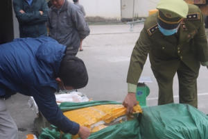 Căng mình ngăn chặn thực phẩm thiếu an toàn Căng mình ngăn chặn thực phẩm thiếu an toàn