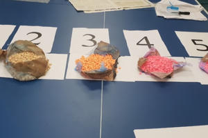 TP HCM: Phát hiện bưu kiện nhập khẩu có chứa ma túy