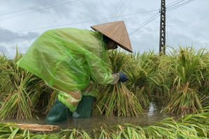 Năm 2022, thiên tai diễn biến phức tạp, dị thường Năm 2022, thiên tai diễn biến phức tạp, dị thường