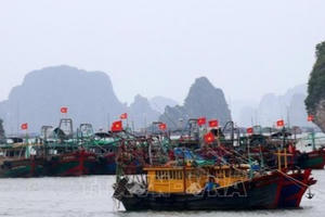 Đề phòng mưa lớn, nguy cơ lũ quét, sạt lở đất do hoàn lưu bão số 1