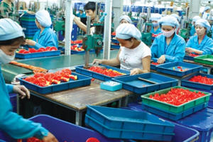 Doanh nghiệp nhỏ và vừa: Không chỉ cần hỗ trợ bằng tiền Doanh nghiệp nhỏ và vừa: Không chỉ cần hỗ trợ bằng tiền