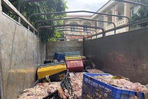 Phát hiện xe tải chở hơn 2 tấn mỡ và da bò bốc mùi hôi thối, không rõ nguồn gốc