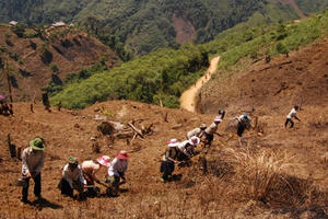 Ninh Bình: Tăng cường sự lãnh đạo của Đảng đối với công tác giảm nghèo bền vững đến năm 2030