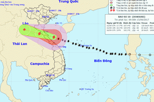 Cập nhật mới nhất về cơn bão số 10